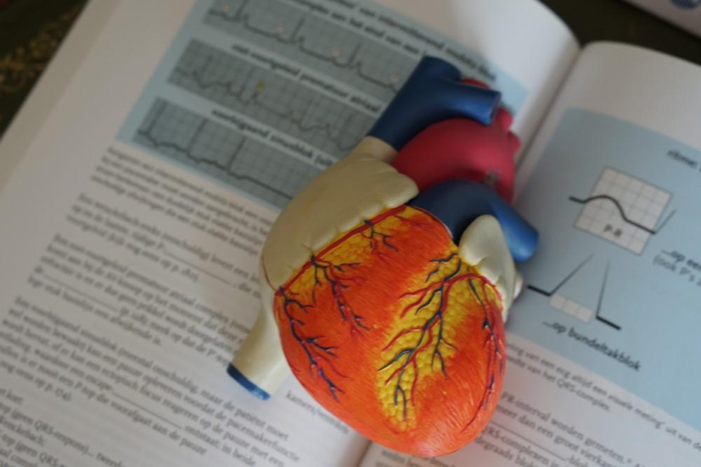 Overall Heart-Healthy Lifestyle Needed to Ward Off Heart Failure
